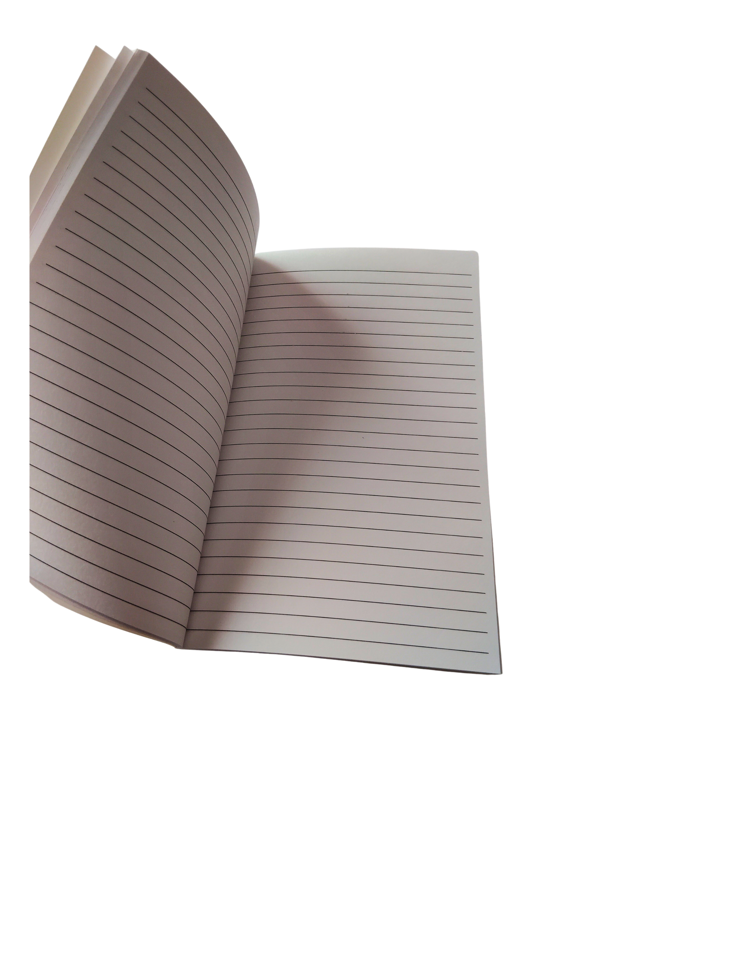 It's Ok To Stand Out Notebook