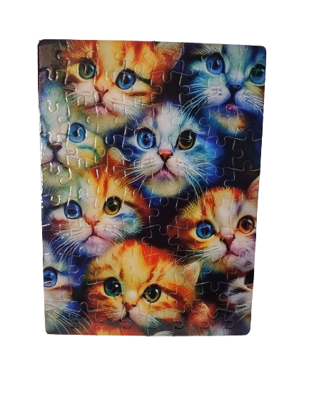 Colorful Kittens Puzzle